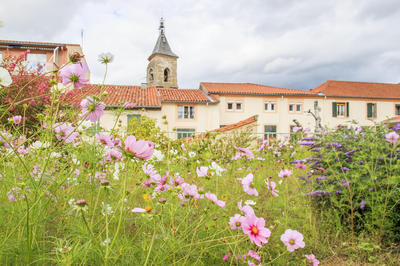 CLINIQUE REFUGE PROTESTANT 81200 Mazamet